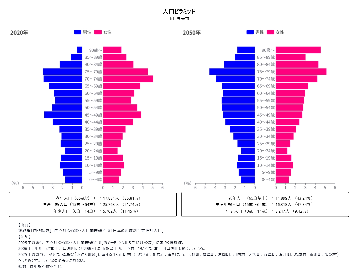 人口構成分析 - 人口ピラミッド