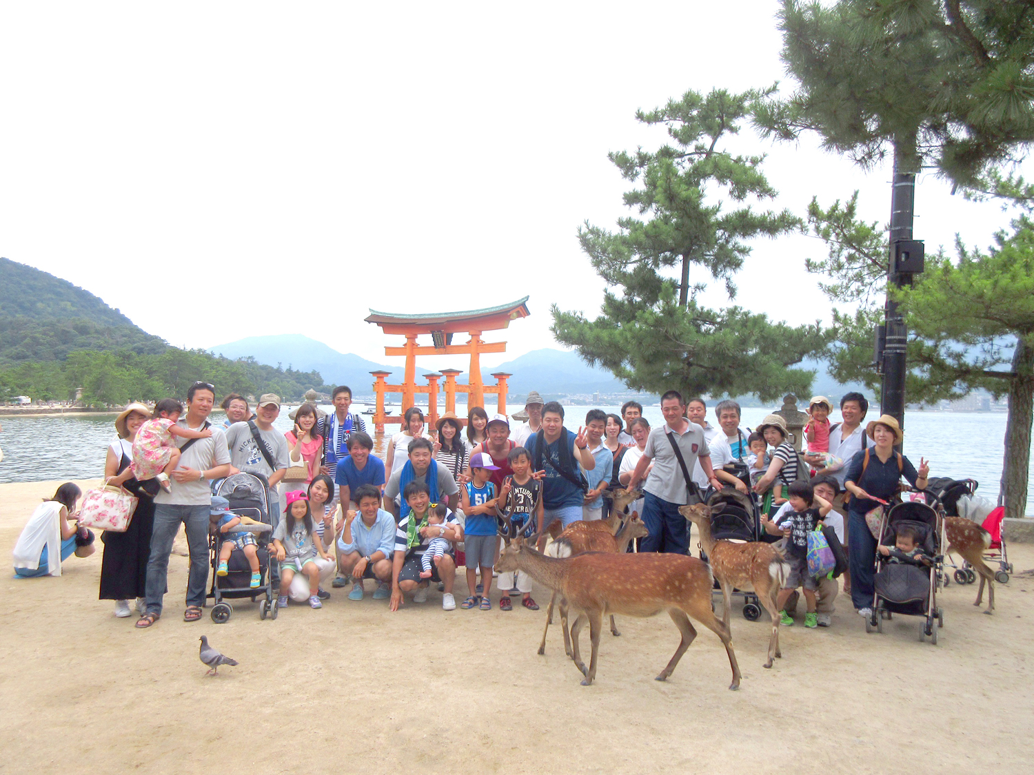 貪欲なシカたちと共に集合写真